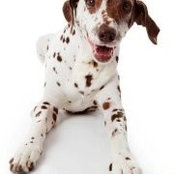 Bonnie Schindler's photo