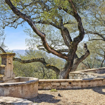 A Mediterranean-Inspired Landscape Showcase