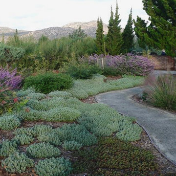 Landscape Projects