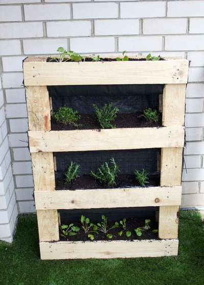 Сад DIY Project: How to Build a Vertical Pallet Garden