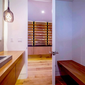 Modern House