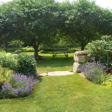 Orchard