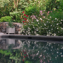 Pool Reflections