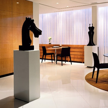 Modern Penthouse