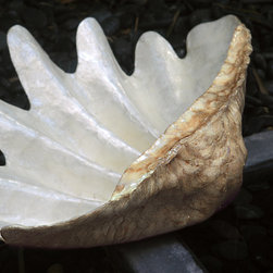 Serving bowls, serving platters, cake plates - Dinnerware