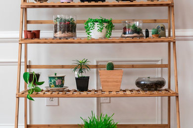 Sunroom - small eclectic light wood floor sunroom idea in DC Metro with a standard ceiling