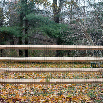 Split Rail in Media