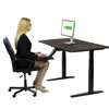 Rise Up Bamboo Electric Adjustable Height Office Desk, Black + Black Bamboo