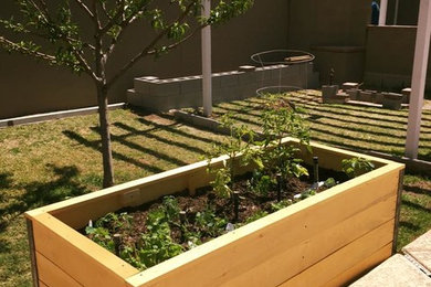 Raised Planter