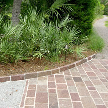 Landscape- Kiawah