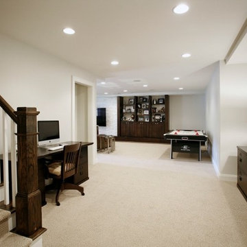 Roswell - Basement Remodel