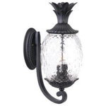 Acclaim Lighting - Acclaim Lighting 7511BK Lanai, 3-Light Outdoor Wall Light, 10"W - This Three Light Wall Lantern has a Black Finish aLanai Three Light Ou Matte Black Clear Pi *UL Approved: YES Energy Star Qualified: n/a ADA Certified: n/a  *Number of Lights: 3-*Wattage:60w Candelabra bulb(s) *Bulb Included:No *Bulb Type:Candelabra *Finish Type:Matte Black