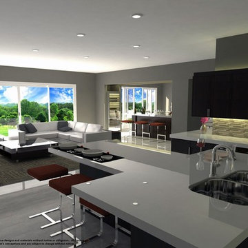 Distinctive Homes Contemporary Designs
