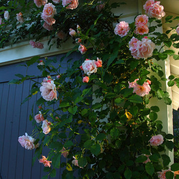Alex Smith Garden Design, Ltd. Office
