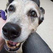 Janice Bement's photo