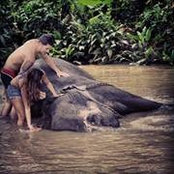 Mary Yasol's photo