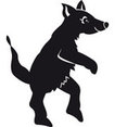 Profilbild von Little Walking Wolf