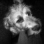 kathytaffys foto