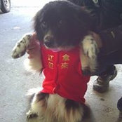 Foto von Szu Chin Liu