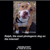 Ralph Stevens's photo