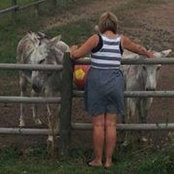 Susan Barton's photo