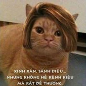 Ngoc Diep's photo