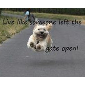 Kim Oliver's photo