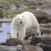 Foto de Jana Deen
