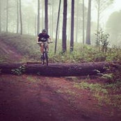 Brian Aguilar's photo