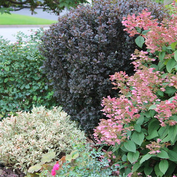 Shrub grouping