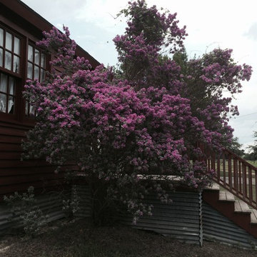 Texas Saltbox Cottage