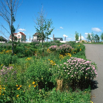 Residential Projects
