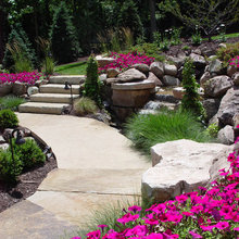 Garden -backyard