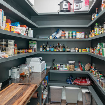 09 - Craftsman Transitional Allston Kitchen Pantry