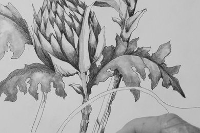 Drawings and Wallpaper Design