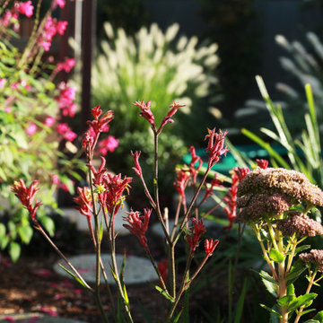 2022 Finalist - LDI Residential Landscape Design of the Year - Steve Warner