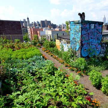 UMBRELLA HOUSE ROOFTOP GARDEN