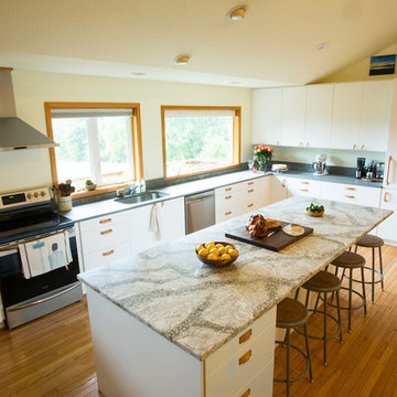 IKEA Kitchen Remodel to Frame Mountain View