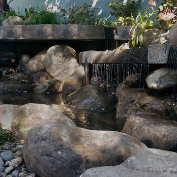 'Brentwood Beck'