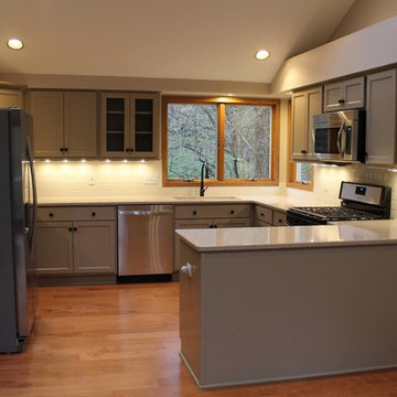 Bridgman Kitchen & Living Room 2016