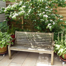 Under Porch Ideas