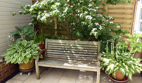 How to Create Shade in a Small Garden