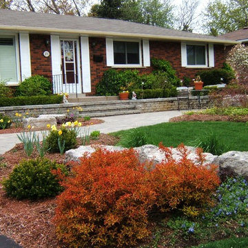 Late 1950's Style House Front Yard Renovation
