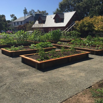Edible Vegetable Gardens
