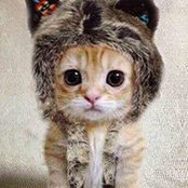 Leah Qin's photo