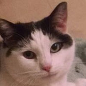Penny Lynch's photo