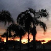 Diana Ackling's photo