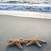 Tonya Watkins's photo