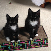 Katherine Weber's photo