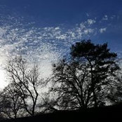 Scotty Wagley's photo